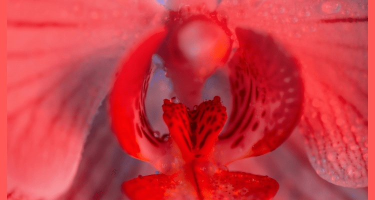 Clit Massage FI Clitoris massage