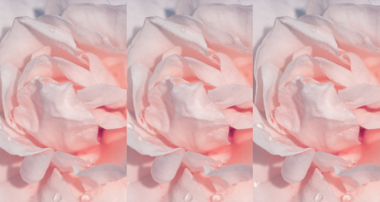 Hot sensual instructional Female Orgasm Video