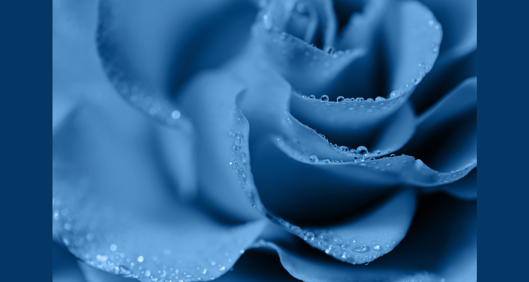 How to be a Better Lover